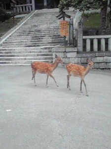 120804_1040~001.jpg