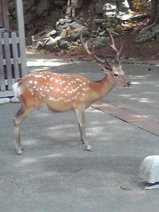 120804_1059~002.jpg