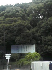 120818_0924~001.jpg