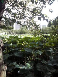 120818_1546~001.jpg
