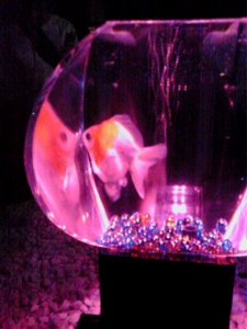 140811_1638_001.jpg