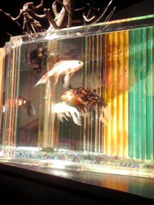 140811_1642_001.jpg