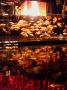 140811_1700_001.jpg