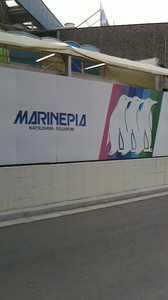 2015050316160000.jpg