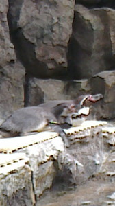 2015050316220000.jpg