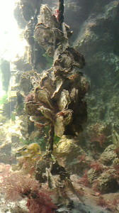 2015050316350000.jpg