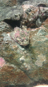 2015050316380000.jpg