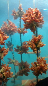 2015050316390000.jpg