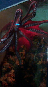 2015050316400000.jpg