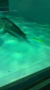 2015050316480002.jpg