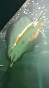 2015050316590001.jpg