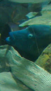 2015050317000000.jpg