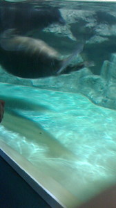 2015050317030000.jpg