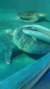 2015050317130001.jpg