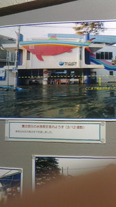 2015050317200000.jpg