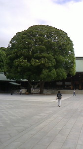 2015080907350000.jpg