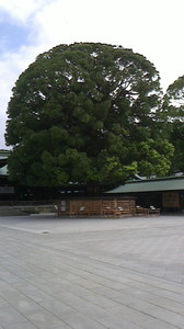 2015080907360000.jpg