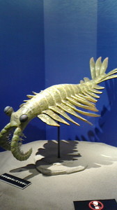 2015080911300000.jpg