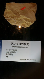 2015080911320000.jpg