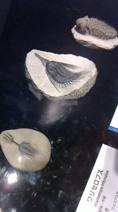 2015080911380000.jpg