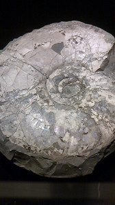 2015080912030000.jpg