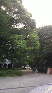 2015081116290000.jpg