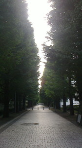 2015081116350000.jpg
