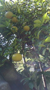 2015112011460001.jpg