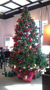 2015112012020000.jpg
