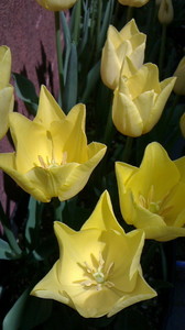 2016042312100000.jpg