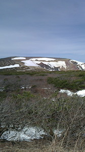 2016042411440001.jpg