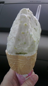 2016042414100000.jpg