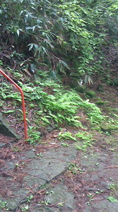 2016050211420002.jpg