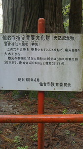 2016050211480000.jpg