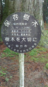 2016050211500000.jpg