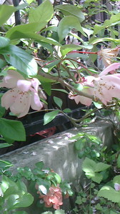 2016050313180000.jpg
