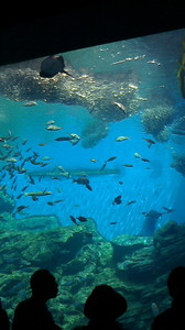 2016050609320001-2.jpg