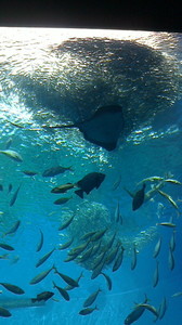 2016050609340000-1.jpg