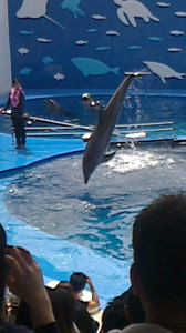 2016050610400000.jpg