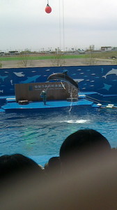 2016050610410000.jpg