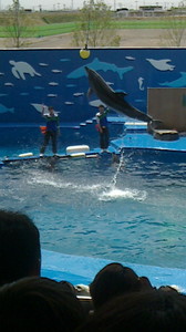 2016050610450000.jpg