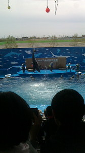 2016050610460002.jpg