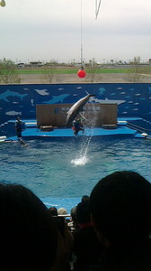 2016050610470000.jpg