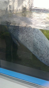 2016050610560000.jpg