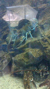 2016050611150001.jpg