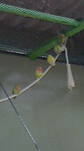 2016050611160001.jpg