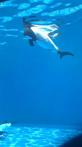2016050611210000.jpg