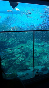 2016050611340000.jpg