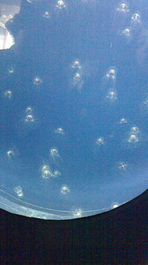 2016050611410000.jpg