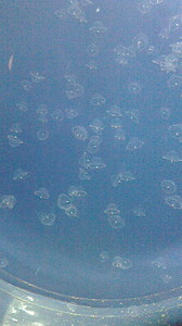 2016050611420000.jpg